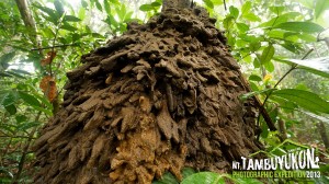 Mount Tambuyukon Expedition  